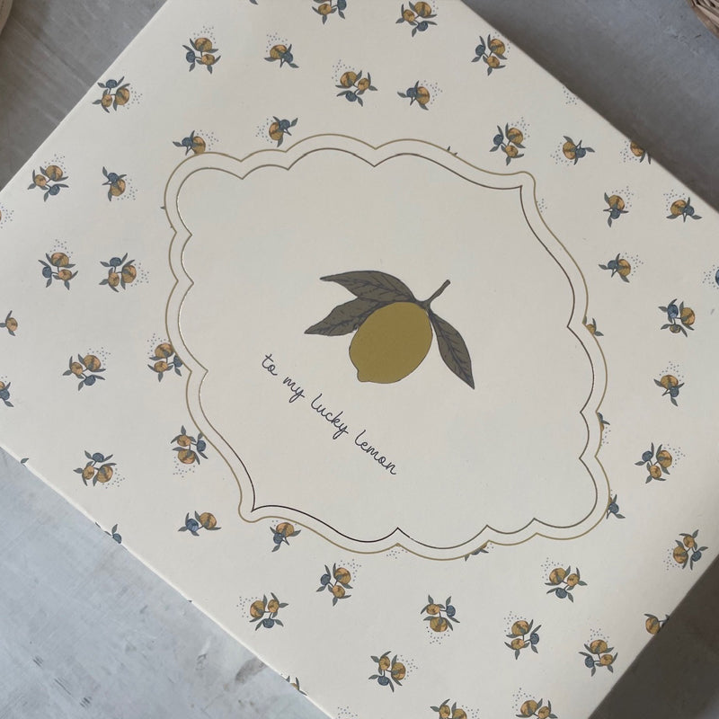 Baby Geschenk in Geschenkbox Konges Sloijd